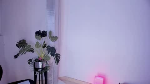 Paulina online show from 03-02-25, 04:39