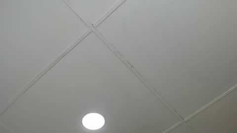 dannaberlin_0 online show from 03-08-25, 12:09