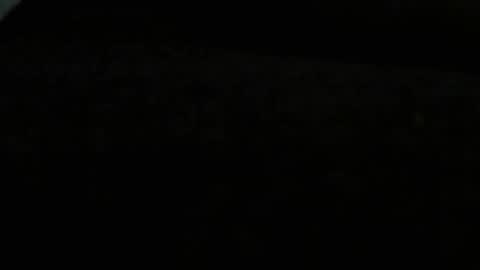 danny81boy online show from 12-08-24, 11:51