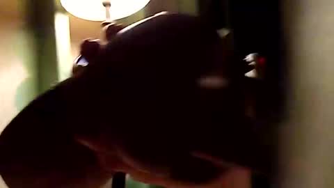 Snapshot of dano9696 chatting on 11-01-25, 10:28 dano9696 online show from 11-01-25, 10:28