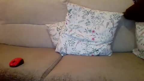 danydotado online show from 12-21-24, 07:38