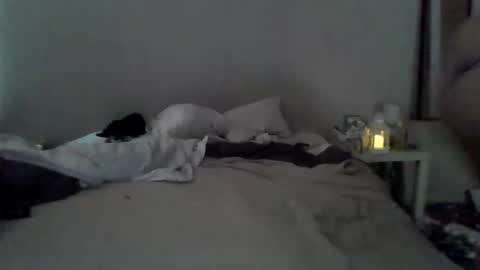 danybowl4men online show from 05-24-26, 04:56