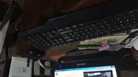 Snapshot of dario48 chatting on 11-03-25, 06:47 dario48 online show from 11-03-25, 06:47