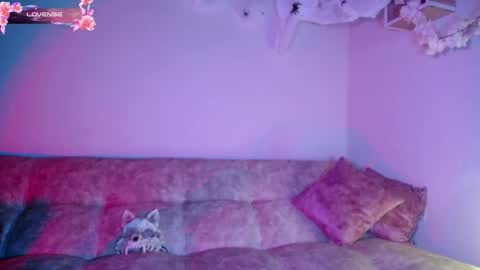 Snapshot of dark__nymph chatting on 10-30-25, 11:44 Dark online show from 10-30-25, 11:44