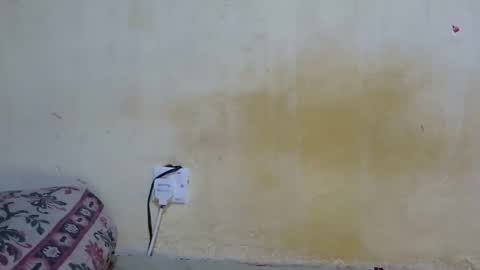 Snapshot of dark_princess1 chatting on 10-08-25, 07:50 dark_princess1 online show from 10-08-25, 07:50