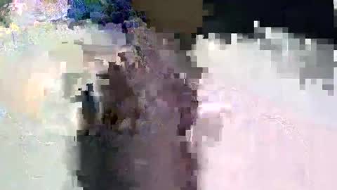 dark_princess1 online show from 02-03-26, 06:40