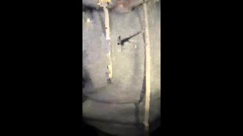 darklight69s25 online show from 01-06-26, 08:45