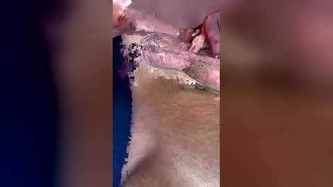 darklight69s25 online show from 04-12-26, 03:28