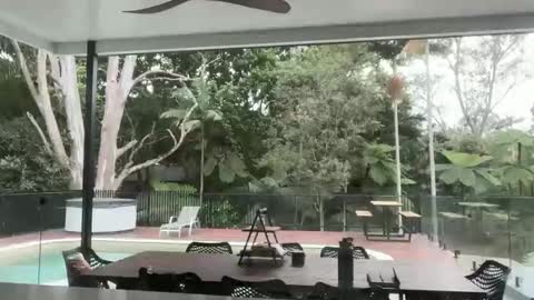 dartanian0001 online show from 09-18-25, 08:55