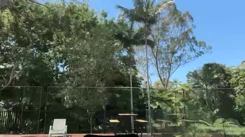 dartanian0001 online show from 09-30-25, 02:05