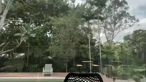 dartanian0001 online show from 10-01-25, 12:38