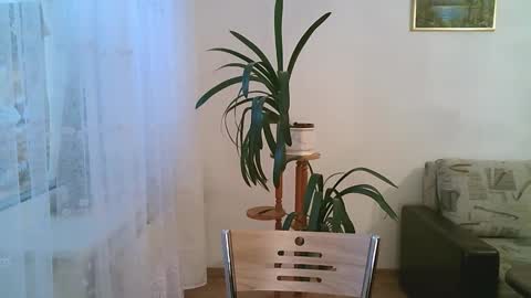 Dario online show from 12-01-25, 11:15