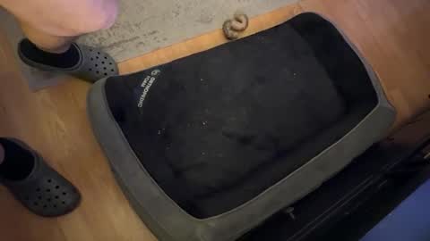 Datguy127 online show from 02-18-25, 05:09