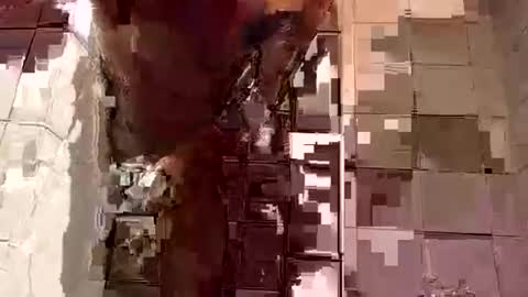 davedowning042075 online show from 02-05-25, 07:07