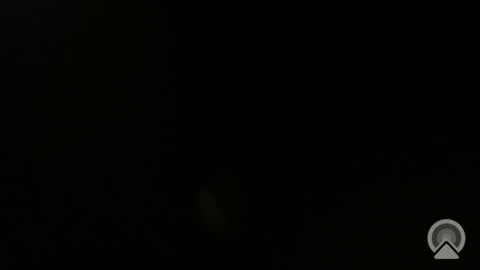 Snapshot of daveeveline chatting on 11-11-25, 12:38 daveeveline online show from 11-11-25, 12:38