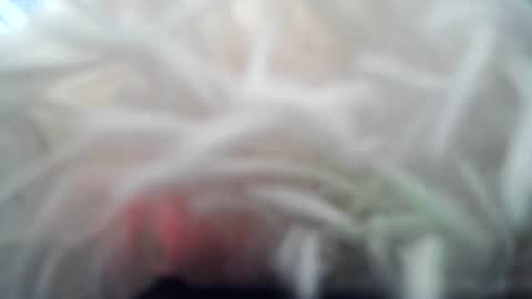 Snapshot of daverz3 chatting on 03-04-26, 08:42 daverz3 online show from 03-04-26, 08:42