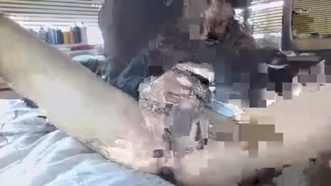 Snapshot of davinsdick chatting on 09-30-25, 06:35 Your daddy online show from 09-30-25, 06:35