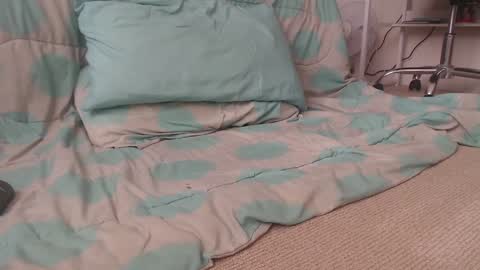 Snapshot of davselfs chatting on 12-02-24, 09:28 dav online show from 12-02-24, 09:28