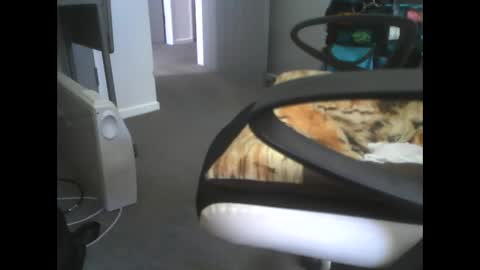 Snapshot of dazzle68 chatting on 03-14-26, 10:48 Dazzle68 online show from 03-14-26, 10:48