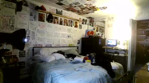 Snapshot of dbeamon92 chatting on 03-08-26, 02:04 dbeamon92 online show from 03-08-26, 02:04