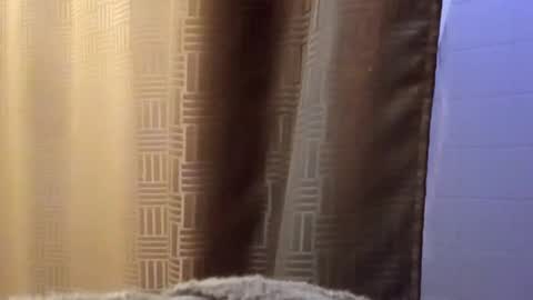 Snapshot of dbossxtina chatting on 11-12-25, 08:48 dbossxtina online show from 11-12-25, 08:48