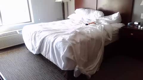 DCrush online show from 12-08-24, 04:50