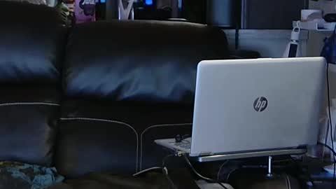 want girl to play with me online show from 02-06-25, 11:48