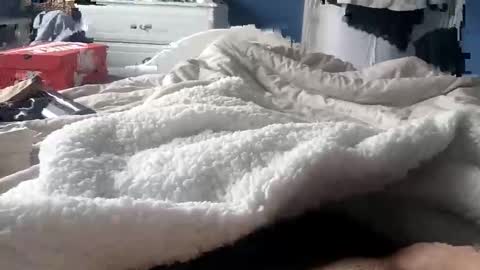 Snapshot of deano2105 chatting on 03-15-26, 11:16 deano2105 online show from 03-15-26, 11:16