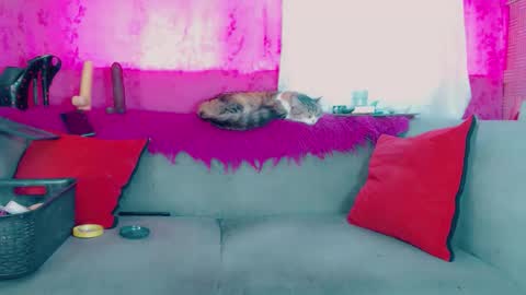 Snapshot of deboragill chatting on 03-13-26, 10:05 deboragill online show from 03-13-26, 10:05