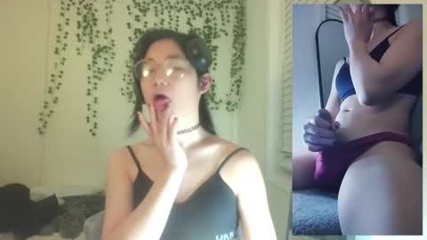 deciduousdoll online show from 11-29-25, 06:49