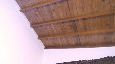  DEIVY  online show from 12-10-24, 10:58