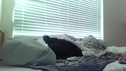 delightfuldark online show from 02-15-25, 11:47