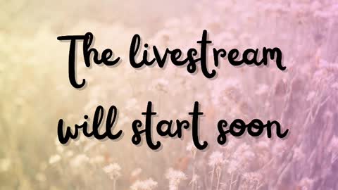 DeLite  Next stream on Wednesday or Thurdsay  online show from 03-12-25, 10:26