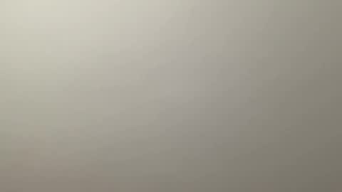 Snapshot of deliverysmile chatting on 12-19-24, 12:34 Delivery      online show from 12-19-24, 12:34