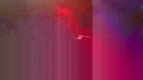 den2807 online show from 05-03-26, 10:49