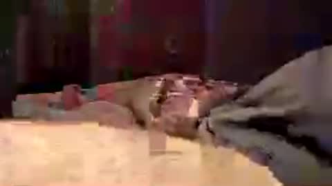 den2807 online show from 07-04-26, 11:22