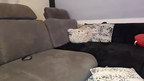 Denise and Brad online show from 11-12-25, 05:13