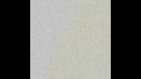 Denver bttm boi on telegram online show from 02-16-26, 10:11