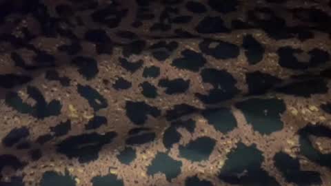 Snapshot of derek829099 chatting on 09-11-25, 06:57 derek829099 online show from 09-11-25, 06:57