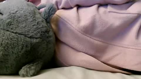 deroseblack online show from 02-10-25, 06:20