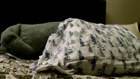 deroseblack online show from 02-24-25, 05:22