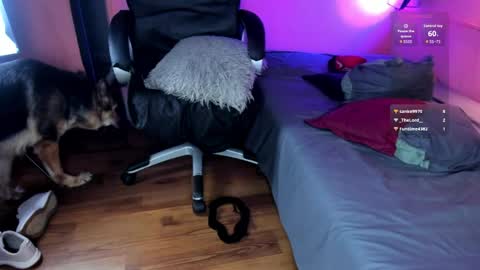 NTMY guys im a kinda desi from Medellin  online show from 04-24-26, 09:06