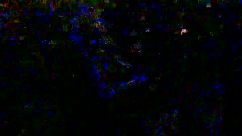 Eva and Adam online show from 12-26-24, 08:50