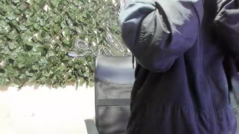 Destiny online show from 01-19-26, 11:58