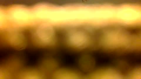 Marcus D-von Steel as the raunchy ass sniffer thrill me with your online show from 04-11-26, 10:41