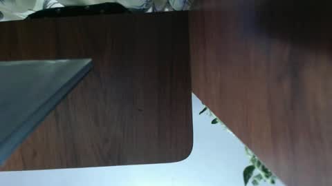 Snapshot of diana_smit_ chatting on 01-01-25, 02:30 diana online show from 01-01-25, 02:30