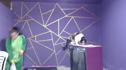 Snapshot of diana_smit_ chatting on 01-12-25, 08:14 diana online show from 01-12-25, 08:14