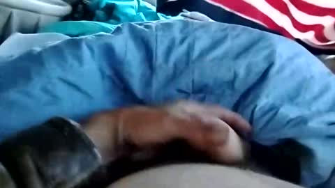 Snapshot of dickbowen64 chatting on 11-01-25, 01:57 Dickbowen online show from 11-01-25, 01:57