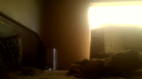 dickdaxxx online show from 03-02-25, 08:16