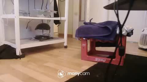 Kevin S. online show from 12-17-25, 09:59